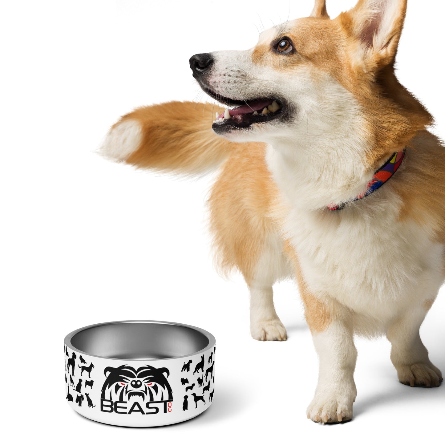 BEAST Pet Bowl